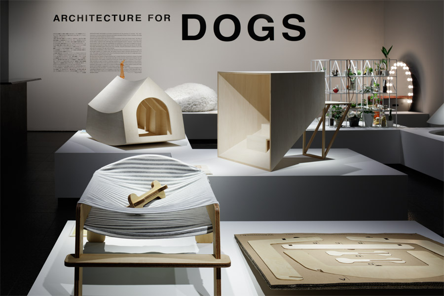 TOTO Gallery Architecture for Dogs