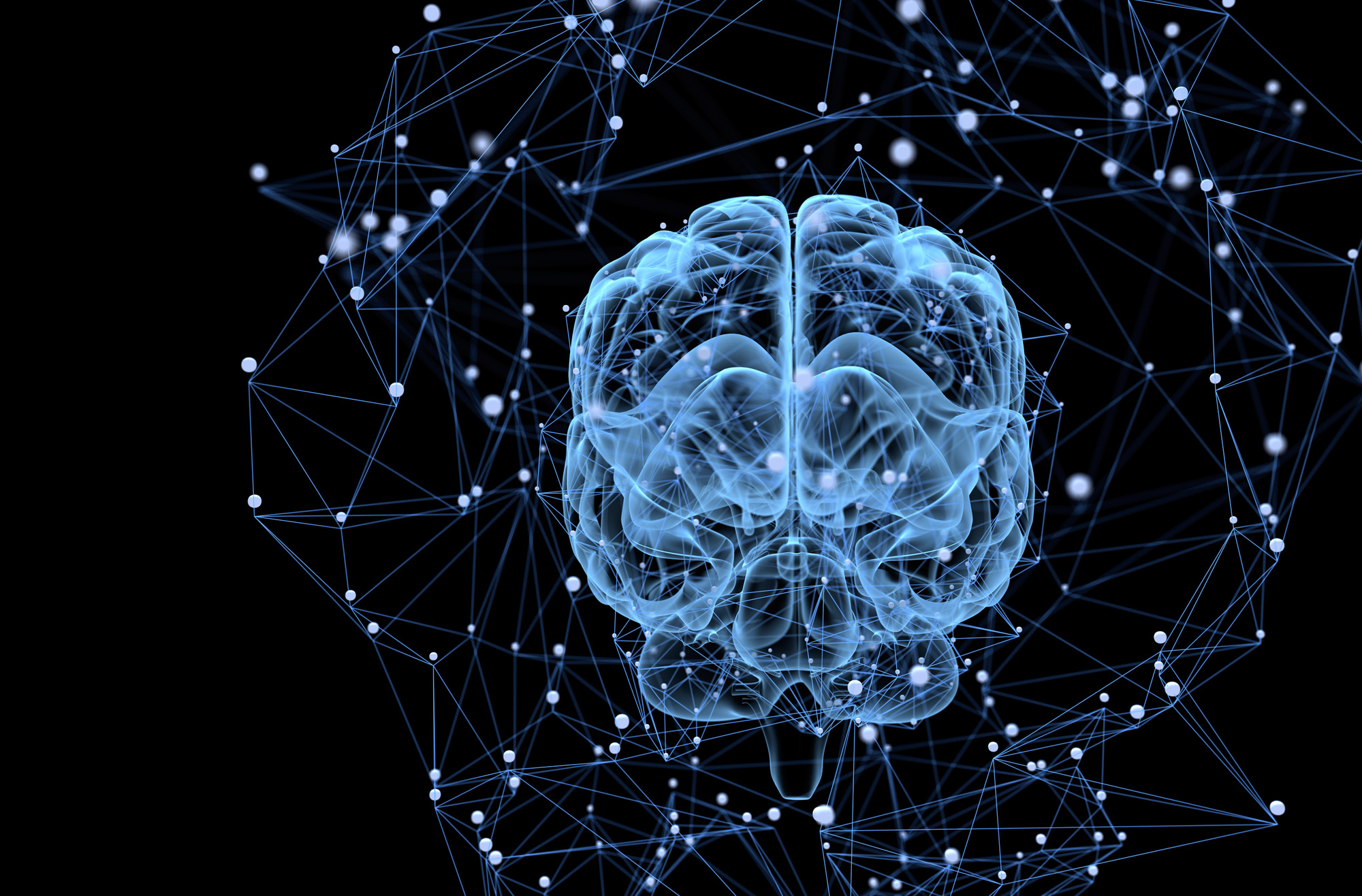 brain on black