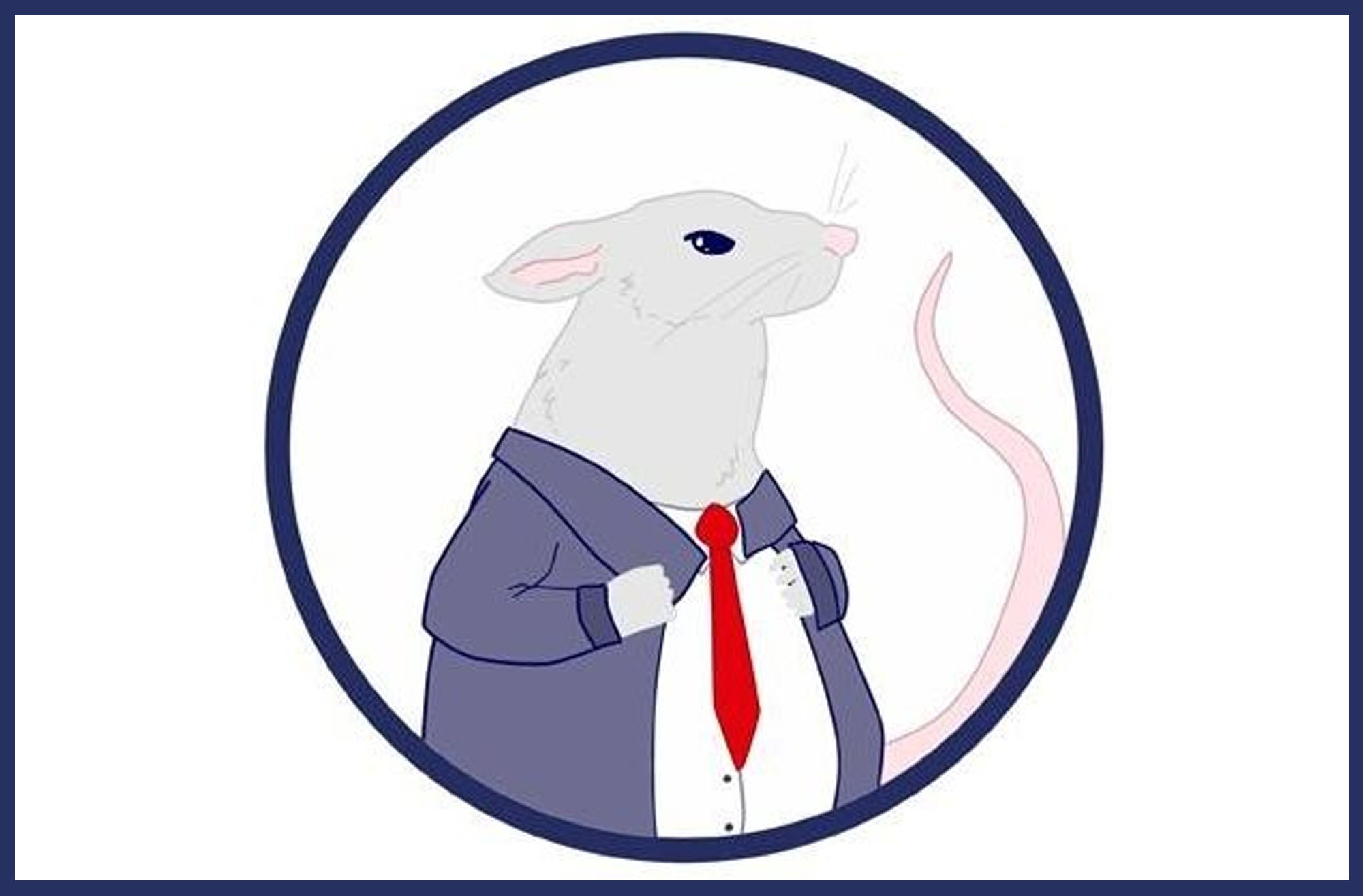 Koło Naukowe Rozwój uniwersytet SWPS we Wrocławiu