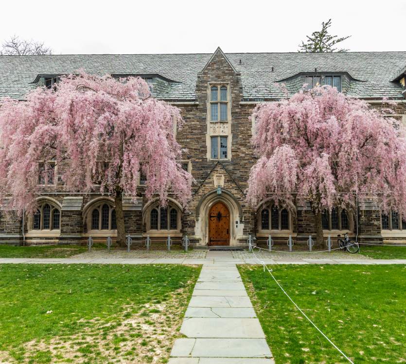 Uniwersytet w Princeton