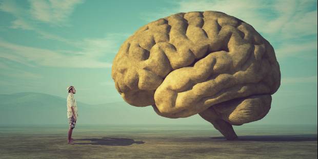 Centrum Neuronauki Behawioralnej