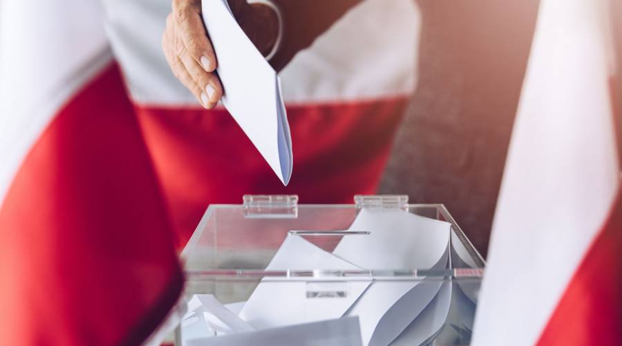Wybory i referendum - o czym obywatel powinien wiedzieć? (webinar)