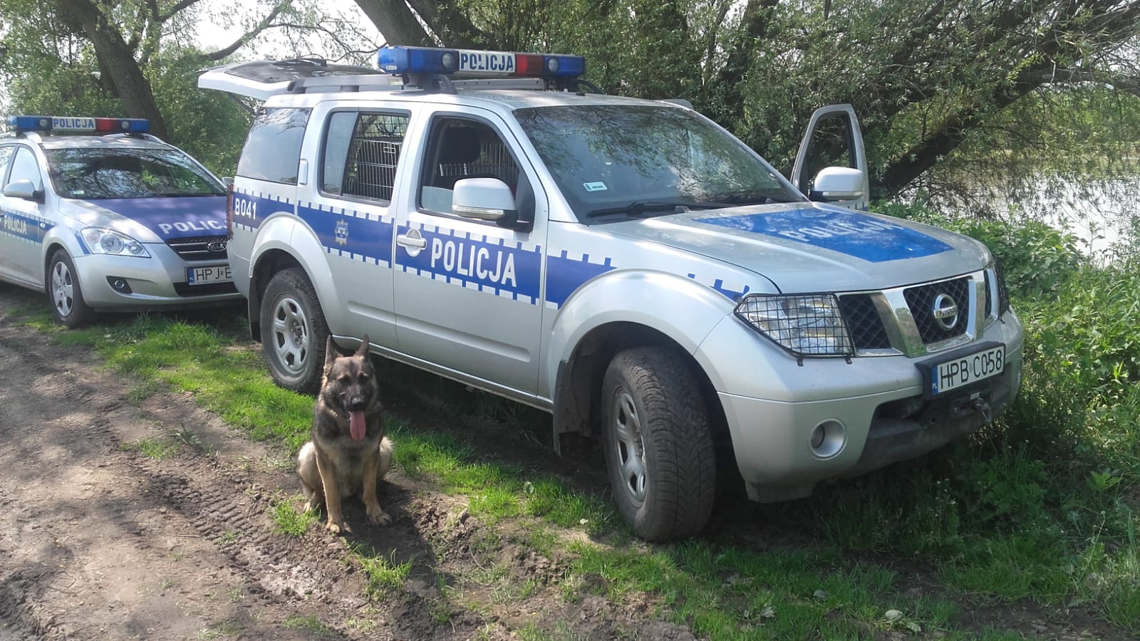 Czesio, pies policyjny